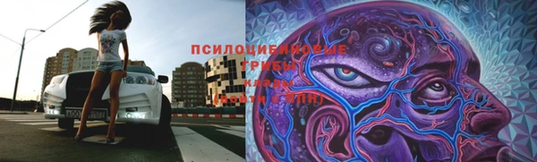 apvp Богородицк